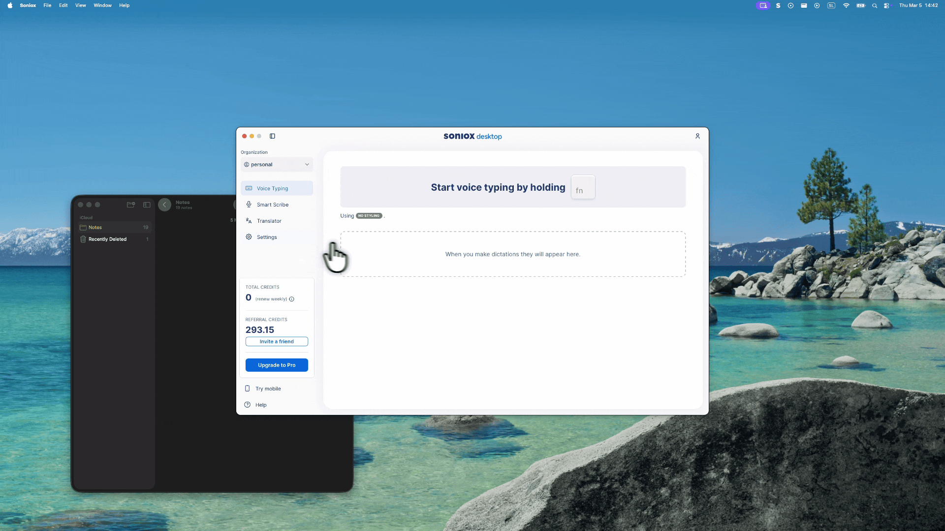Dictation Translation